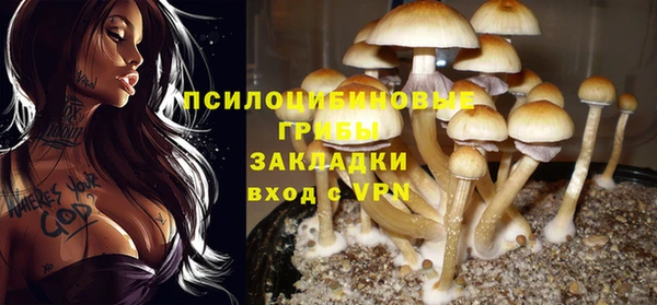 прущая мука Балахна