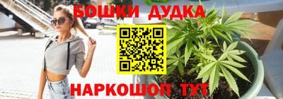 метадон Гай