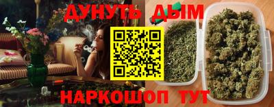 амф Гатчина