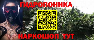 Альфа ПВП Гагарин
