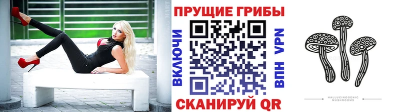 Псилоцибиновые грибы ЛСД  Каспийск 