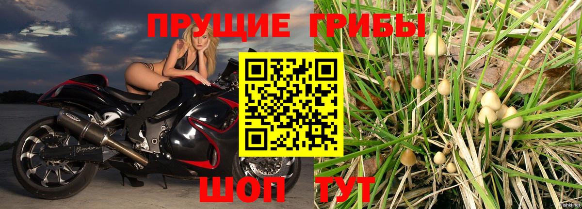 Псилоцибиновые грибы ЛСД  Вход с VPN  Каспийск 