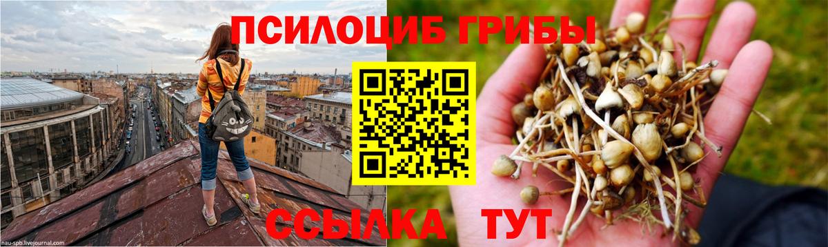 Псилоцибиновые грибы Magic Shrooms Каспийск